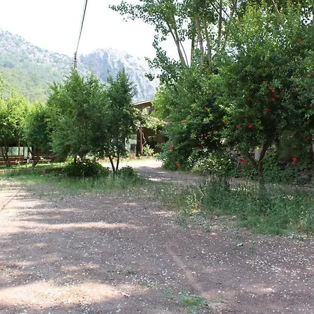 Camlik 게스트하우스