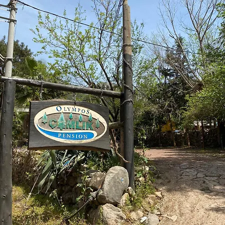 Camlik 3* Олимпос