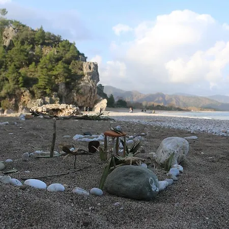 奥林波斯卡姆里旅馆