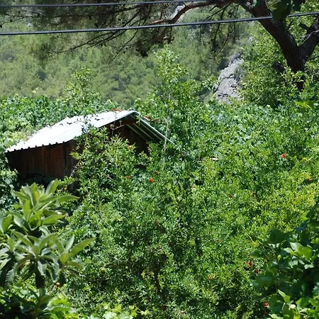 Camlik Guest house