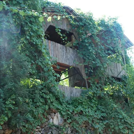 Camlik Olympos