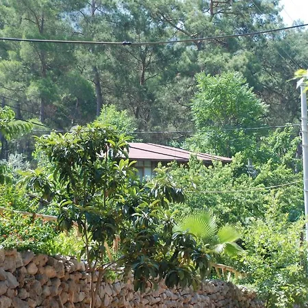 Гостевой дом Camlik 3*