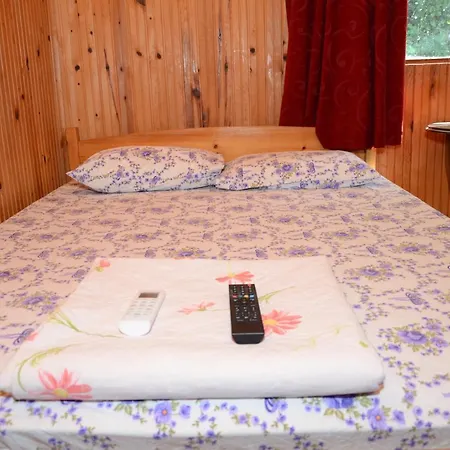 Camlik 3* Олимпос