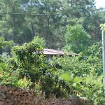 Pensión Camlik 3*
